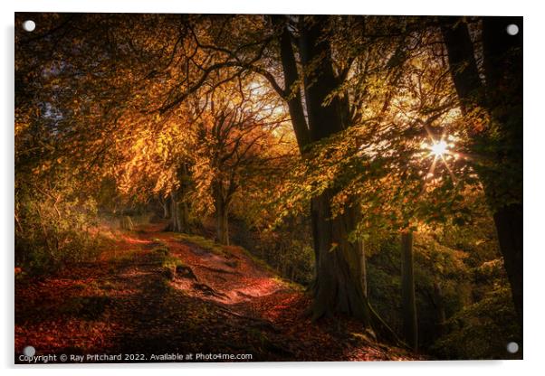 Autumnal Splendour, Ousbrough Wood 2022 Acrylic by Ray Pritchard