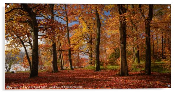 Autumn Colours Around Keswick Acrylic by Ray Pritchard