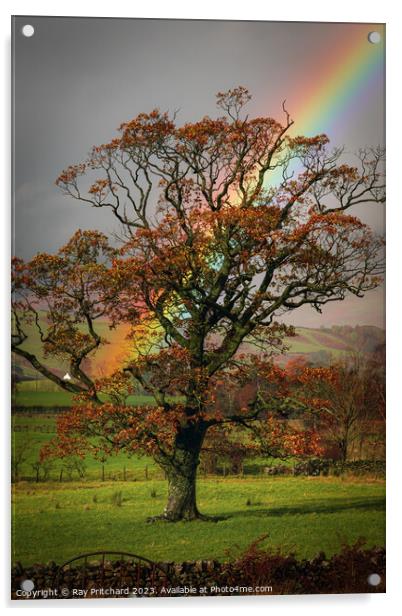 Rainbow and the Tree  Acrylic by Ray Pritchard