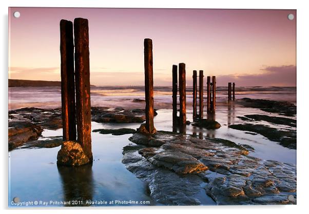 Old Wooden Posts Acrylic by Ray Pritchard