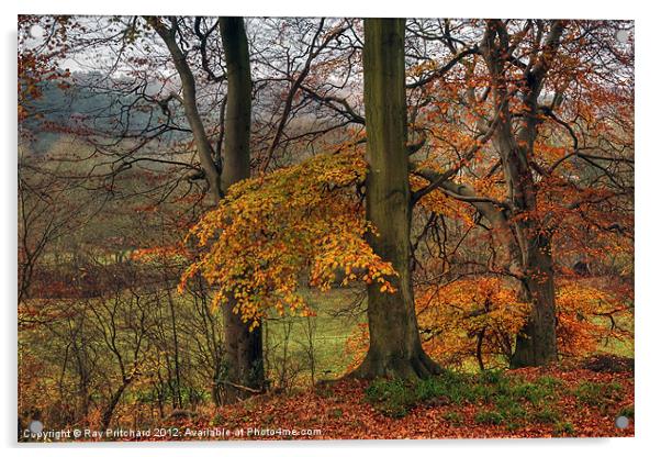 Ousbrough Woods Acrylic by Ray Pritchard