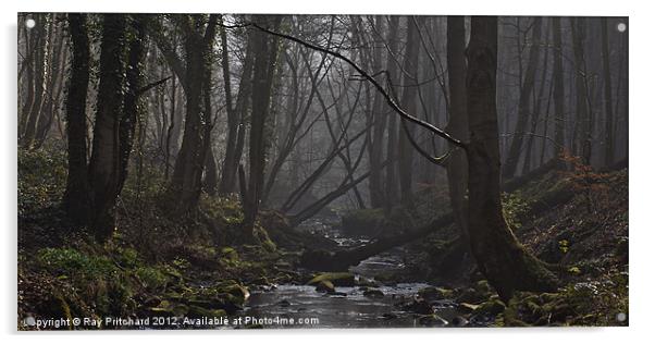 Ousbrough Woods Acrylic by Ray Pritchard