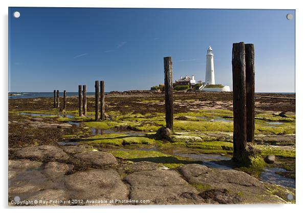 Old Posts at St Marys Acrylic by Ray Pritchard