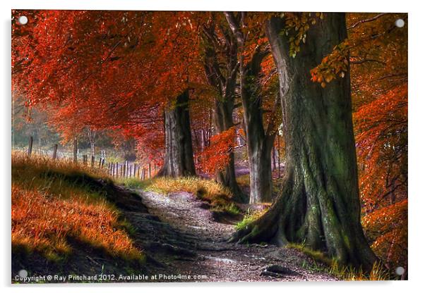 Ousbrough Woods-Autumnized 2 Acrylic by Ray Pritchard