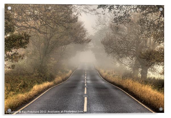 Road To Nowhere Acrylic by Ray Pritchard