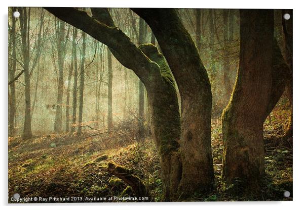 Mystic Woodland Acrylic by Ray Pritchard
