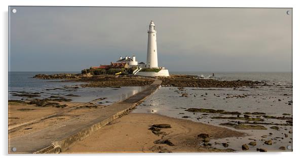 St Marys Lighthouse Acrylic by Ray Pritchard