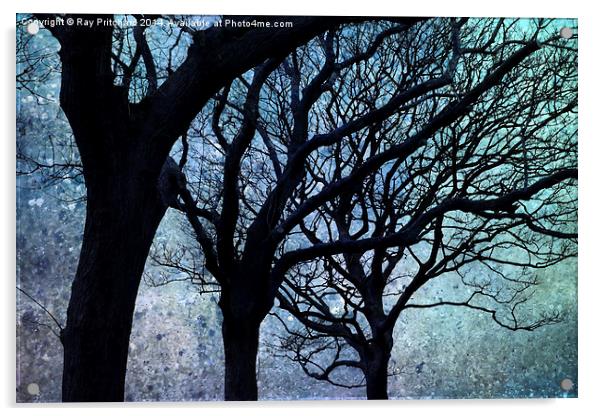 We Three Trees Acrylic by Ray Pritchard