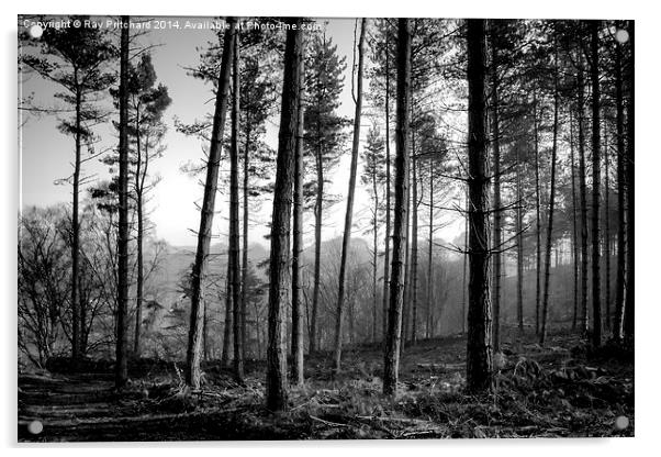 Ousbrough Woods Black and White Acrylic by Ray Pritchard