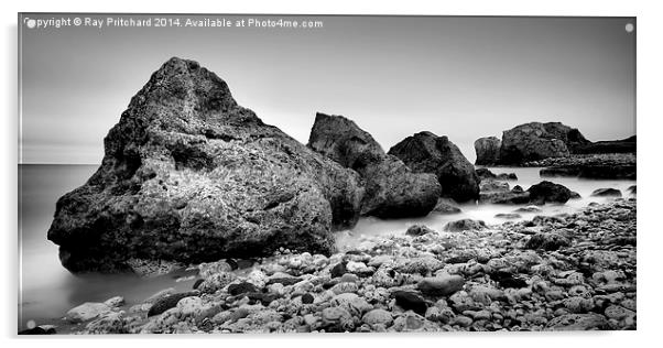  Trow Rocks Acrylic by Ray Pritchard