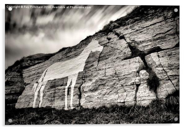  Marsden White Horse Acrylic by Ray Pritchard