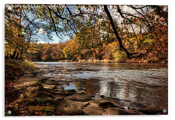  Autumn on the River Wear Acrylic by Ray Pritchard