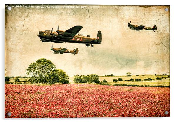 Battle of Britain Memorial Flight Over Poppies Acrylic by Ray Pritchard