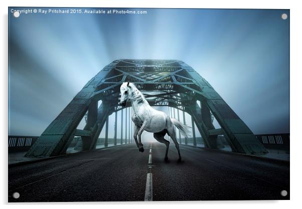   White Horse on the Tyne Bridge Acrylic by Ray Pritchard