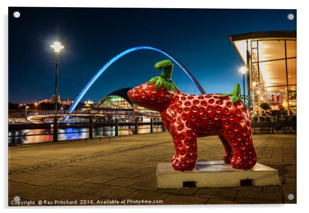 Strawberry Snow dog at Newcastle Acrylic by Ray Pritchard