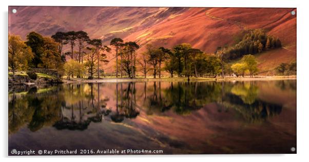 Buttermere Reflections Acrylic by Ray Pritchard