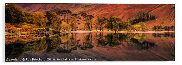 Buttermere Panorama  Acrylic by Ray Pritchard