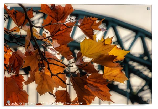 Autumn In Newcastle  Acrylic by Ray Pritchard