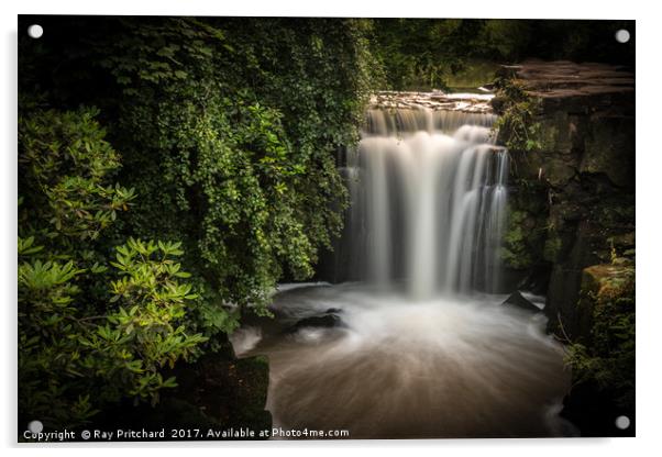 Waterfall at Jesmond Dene Acrylic by Ray Pritchard