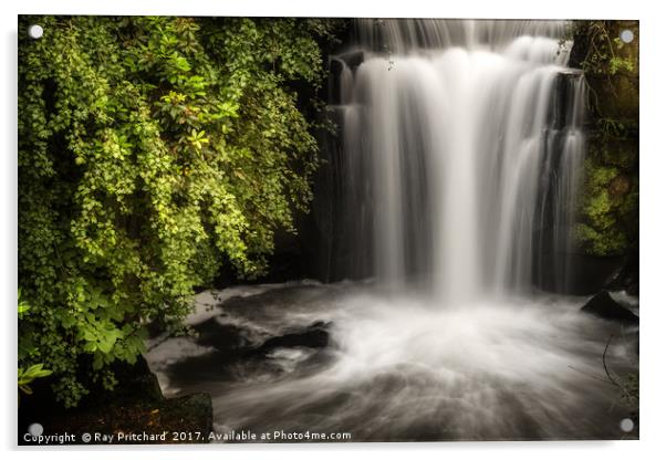 Jesmond Dene Waterfall Acrylic by Ray Pritchard