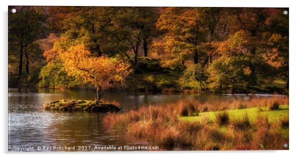 Autumn at Rydal Water Acrylic by Ray Pritchard