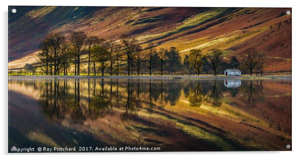 Buttermere Trees Reflected Acrylic by Ray Pritchard