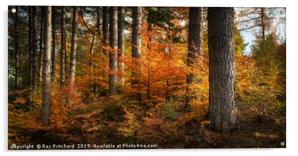 Autumn in Ousbrough  Acrylic by Ray Pritchard