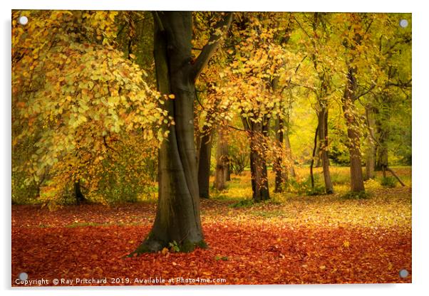 Autumn in the Northeast  Acrylic by Ray Pritchard