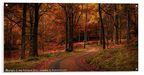 Winding Road Acrylic by Ray Pritchard