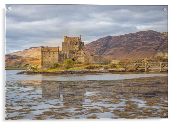 Eilean Donan Castle, Kyle of Lochalsh, Scotland Acrylic by Shweta Chauhan