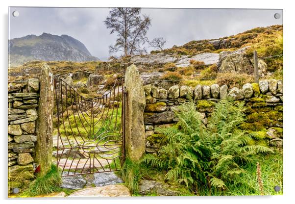 Snowdonia National Park Acrylic by chris smith