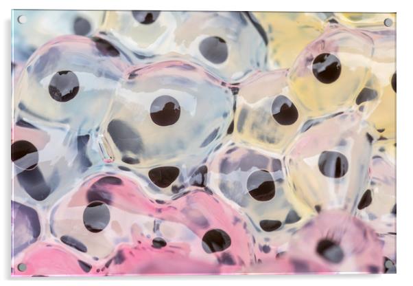 Abstract Frogspawn          Acrylic by chris smith