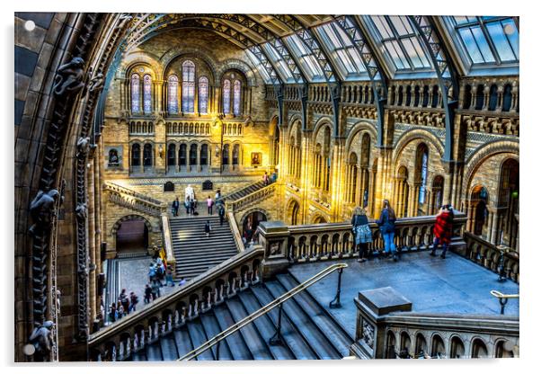 Natural history museum London Acrylic by chris smith