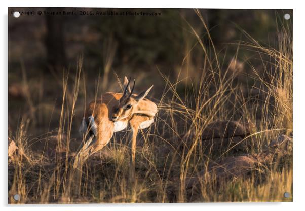 Cleaning time Acrylic by Swapan Banik