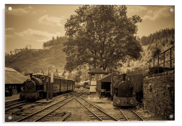 The Corris Railway, Gwynedd,Wales Acrylic by Philip Enticknap