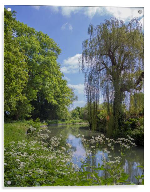 The Basingstoke Canal  Acrylic by Philip Enticknap