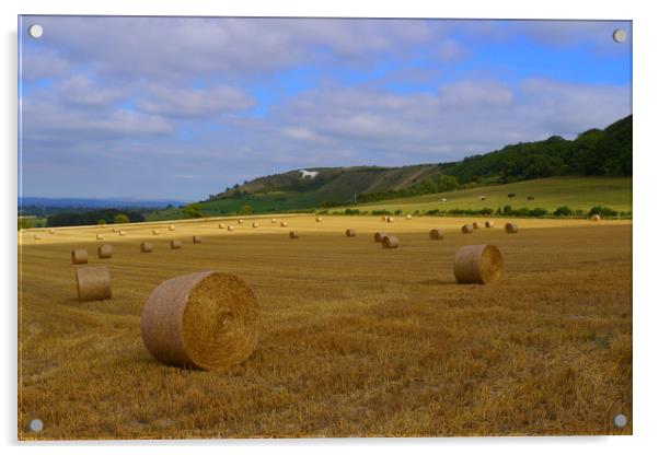 Westbury White Horse.Wiltshire,England Acrylic by Philip Enticknap