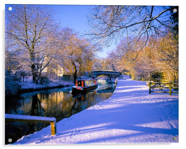 Basingstoke Canal in winter Acrylic by Philip Enticknap