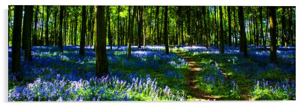 Bluebell Wood Micheldever , Hampshire .England  Acrylic by Philip Enticknap