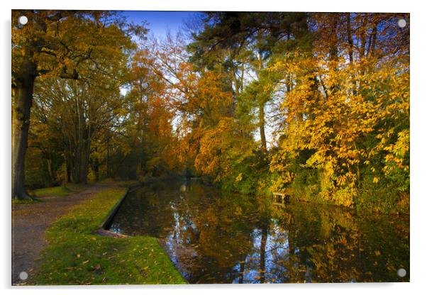 Basingstoke Canal in Autumn  Acrylic by Philip Enticknap