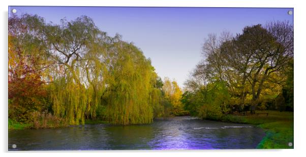  River Wye at Ashford in the Water,Derbyshire, Acrylic by Philip Enticknap