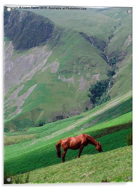  Brown horse at Cautley spout Acrylic by Adam Taylor