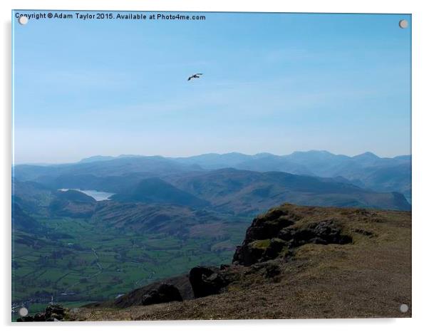  Flying free over Blencathra Acrylic by Adam Taylor