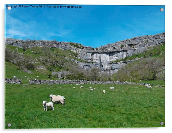  Spring at Malham cove, yorkshire Acrylic by Adam Taylor