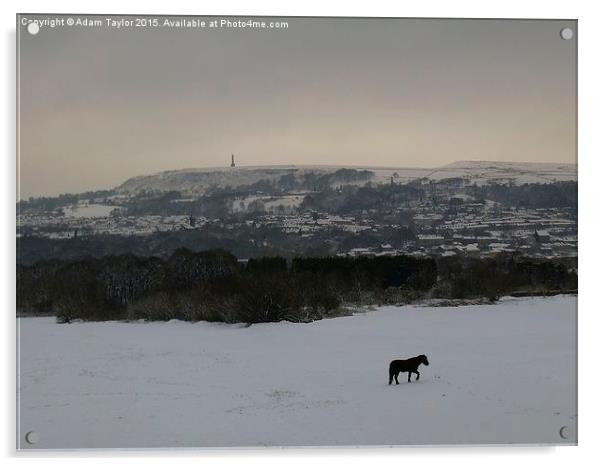  Lonely horse in snowy Lancashire Acrylic by Adam Taylor