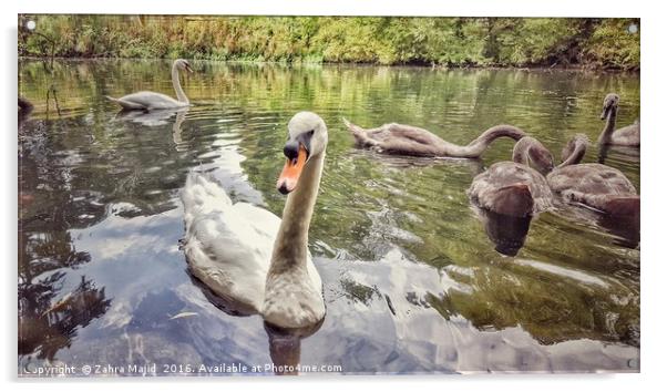 Swan and her Friends at Manor Park in West Malling Acrylic by Zahra Majid
