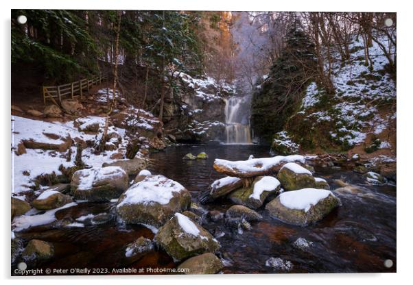 Winter at Linn Falls Acrylic by Peter O'Reilly