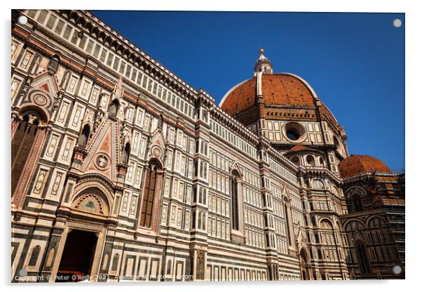 The Duomo, Florence Acrylic by Peter O'Reilly