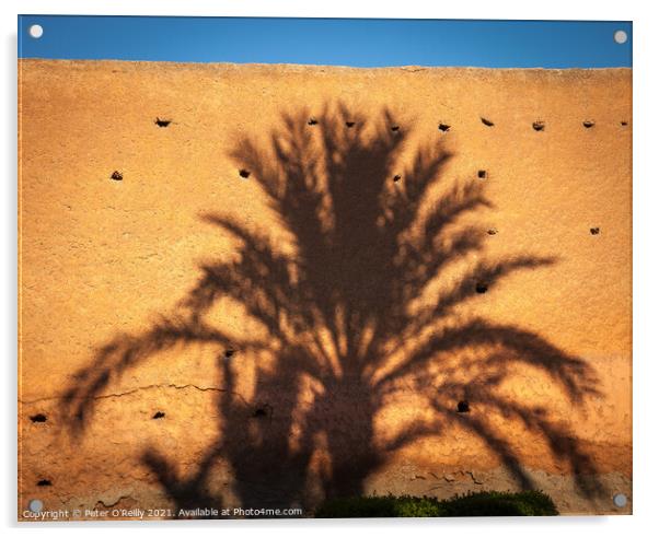 Palm Shadow Acrylic by Peter O'Reilly