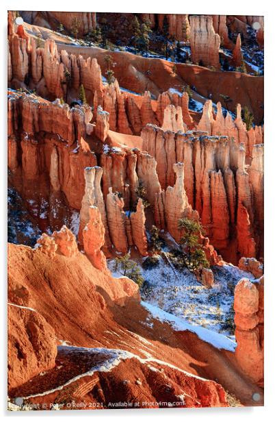 Sunrise at Bryce Canyon #5 Acrylic by Peter O'Reilly